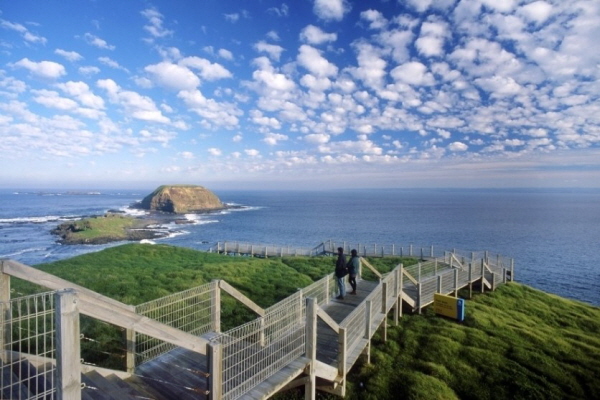 AussieVIEW 오지뷰 필립 아일랜드