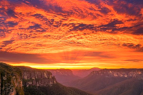AussieVIEW 오지뷰 페더데일 동물원 + 블루마운틴 선셋 별보기