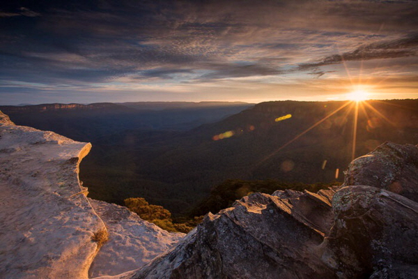AussieVIEW 오지뷰 페더데일 동물원 + 블루마운틴 선셋 별보기