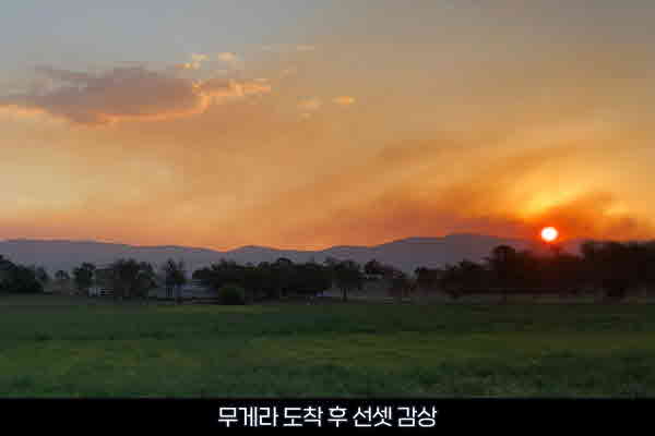 AussieVIEW 오지뷰 무게라 은하수 별빛 투어 + BBQ