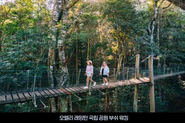 AussieVIEW 오지뷰 오렐리 래밍턴 내셔널파크 + 탬버린 마운틴