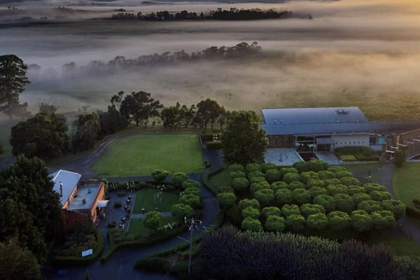 AussieVIEW 오지뷰 야라밸리 와이너리