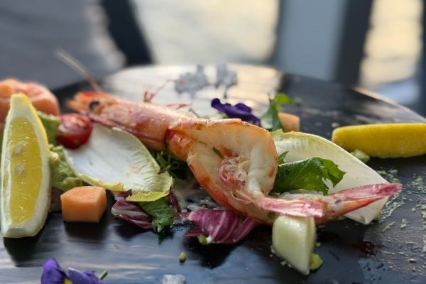 AussieVIEW 오지뷰 클리어뷰 디너 크루즈 + 와인 페어링