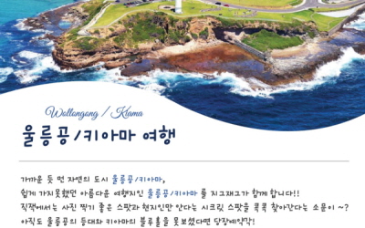 AussieVIEW 오지뷰 울릉공 + 남부해안 투어