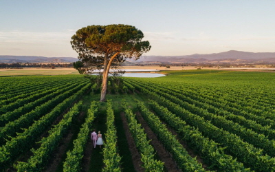 AussieVIEW 오지뷰 야라밸리 와이너리